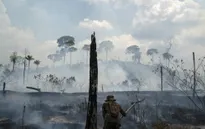 Cháy rừng Amazon tại Brazil diễn ra tồi tệ nhất kể từ tháng 9/2010