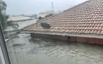 Bão Ian hoành hành tại Florida, khoảng 2,5 triệu người phải sơ tán
