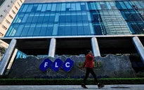 Cổ phiếu FLC tăng trần trước ngày đình chỉ giao dịch