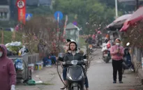 Hà Nội tổ chức 91 điểm chợ hoa phục vụ Tết Quý Mão 2023