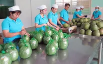 GDP ngành nông nghiệp tăng cao nhất 3 năm