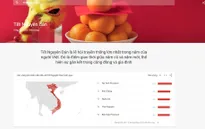 Người dùng Việt tìm kiếm gì dịp Tết Nguyên đán 2023?