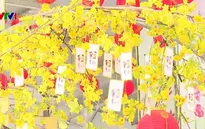 Tết tại một ngôi chùa Việt Nam ở Campuchia