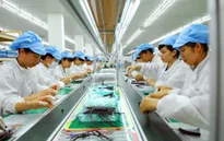 Bộ trưởng Bộ Tài chính: Tiếp tục giãn, hoãn thuế cho doanh nghiệp