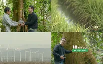 Cuộc chạy đua về 0 với kinh tế xanh