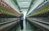 “Xanh hóa” sản xuất giúp doanh nghiệp phát triển bền vững