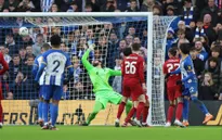 Brighton tiếp tục duy trì thành tích tốt trước Liverpool