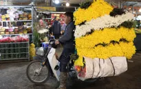 Đi chợ hoa đêm Quảng Bá - nét văn hóa riêng của người Hà Nội mỗi dịp Tết đến, Xuân về