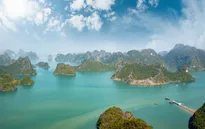 Du lịch dịp Tết như thế nào để tiết kiệm?