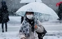Tuyết rơi dày ở Nhật Bản làm gián đoạn giao thông, nhiều tuyến đường bị đóng cửa