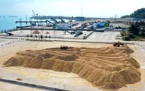 Dăm gỗ và viên nén - động lực xuất khẩu ngành gỗ