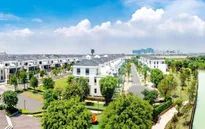 Novaland kiến nghị tháo gỡ pháp lý tận gốc để các doanh nghiệp bất động sản vượt qua khó khăn