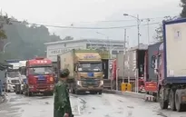 Đẩy mạnh xuất khẩu chính ngạch sang Trung Quốc