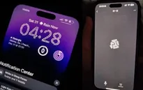 iPhone 14 Pro và Pro Max gặp sự cố màn hình nghiêm trọng