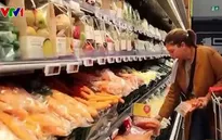 Kinh tế khu vực Eurozone tăng tốc