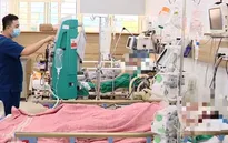 Vụ 6 người ngộ độc nấm ở Hòa Bình: 1 người tử vong