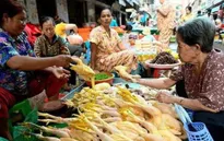 Bé gái ở Campuchia tử vong do cúm gia cầm H5N1