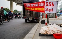 Cảnh giác với trứng gia cầm "giải cứu"