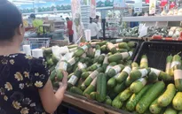 Tiêu dùng xanh, ý thức xanh