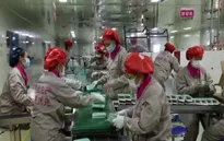 ASEAN, Trung Quốc nâng cấp khu vực thương mại tự do