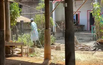 Campuchia kiểm soát được dịch cúm gia cầm H5N1
