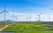 Bộ Công Thương: Khung giá phát điện cho các dự án năng lượng tái tạo được tính đúng, tính đủ