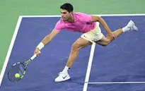 Bốc thăm phân nhánh giải quần vợt Miami mở rộng 2023 | Khó khăn cho Carlos Alcaraz