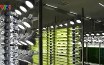 Biến CO2 thành nguồn tài nguyên hữu ích tại Nhật Bản