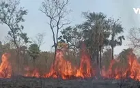 Bolivia tuyên bố tình trạng thảm họa vì cháy rừng