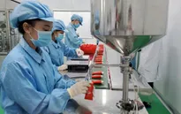 Kinh tế TP Hồ Chí Minh 10 tháng năm 2023: Duy trì được mức tăng
