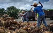 Malaysia tuyển dụng lao động nước ngoài trong 3 lĩnh vực