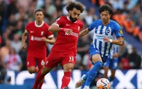 Vòng 8 Ngoại hạng Anh: Liverpool và Newcastle bị cầm hòa