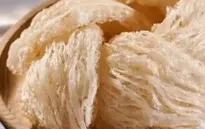 Sắp xuất khẩu lô tổ yến đầu tiên sang Trung Quốc