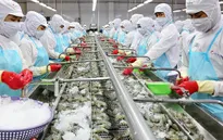 Trung Quốc tăng nhập khẩu thủy sản Việt Nam