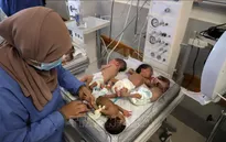 Nhiều trẻ sinh non sơ tán khỏi Gaza trong tình trạng nguy kịch