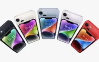 Những mẫu iPhone được coi là thất bại của Apple tại thị trường Việt Nam