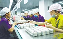 Doanh nghiệp Trung Quốc đánh giá cao môi trường đầu tư Việt Nam
