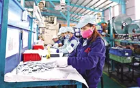 Fitch Ratings dự báo tăng trưởng kinh tế Việt Nam trung hạn khoảng 7%