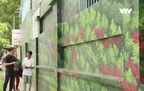 TP Hồ Chí Minh: Vẽ tranh bích họa trên đường phố xóa quảng cáo rác