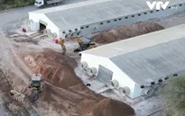 Ca nhiễm cúm gia cầm đầu tiên ở người tại Chile