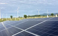 Chuyển đổi sản xuất xanh tạo động lực tăng trưởng cho doanh nghiệp