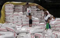 Philippines tìm cách nhập thêm 330.000 tấn gạo