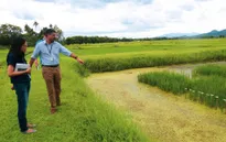 Philippines phát triển giống lúa thích nghi biến đổi khí hậu