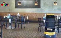 Robot bồi bàn ngày càng phổ biến