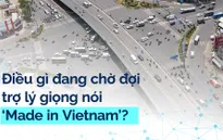 Điều gì đang chờ đợi trợ lý giọng nói 'Made in Vietnam'?