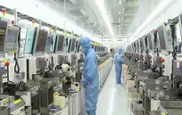 Samsung đầu tư vào thị trường bán dẫn Nhật Bản