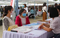 Hơn 9.200 chỉ tiêu việc làm cho lao động 8 tỉnh, thành phố
