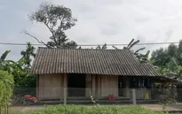 Hai "trái tim lỗi nhịp" đã được chữa lành cùng Trái tim cho em