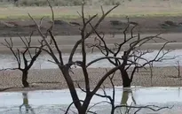 Nhiều nước châu Âu đối mặt với mùa hè hạn hán tồi tệ