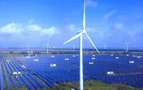COP28 kêu gọi đẩy mạnh sử dụng năng lượng tái tạo